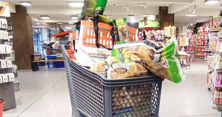 Ο Μασούτης στηρίζει το φιλοζωικό μας έργο