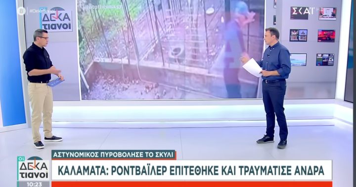 Καταδικαστική Ανακοίνωση για το τραγικό περιστατικό θανάτωσης σκύλου από αστυνομικό