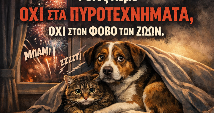 Όχι στα πυροτεχνήματα – Ναι στον σεβασμό της ζωή